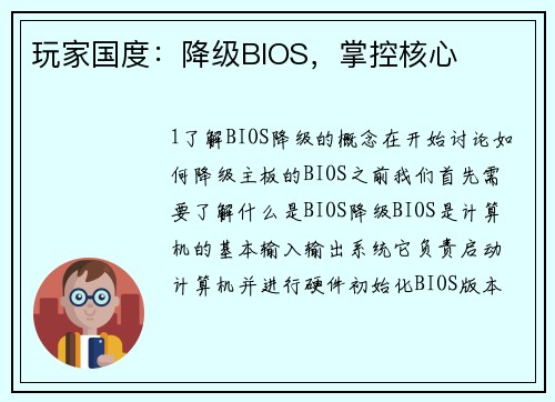 玩家国度：降级BIOS，掌控核心