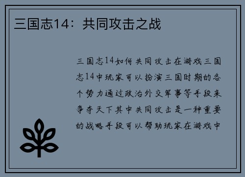 三国志14：共同攻击之战